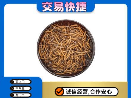 黔西南礼品回收虫草.jpg